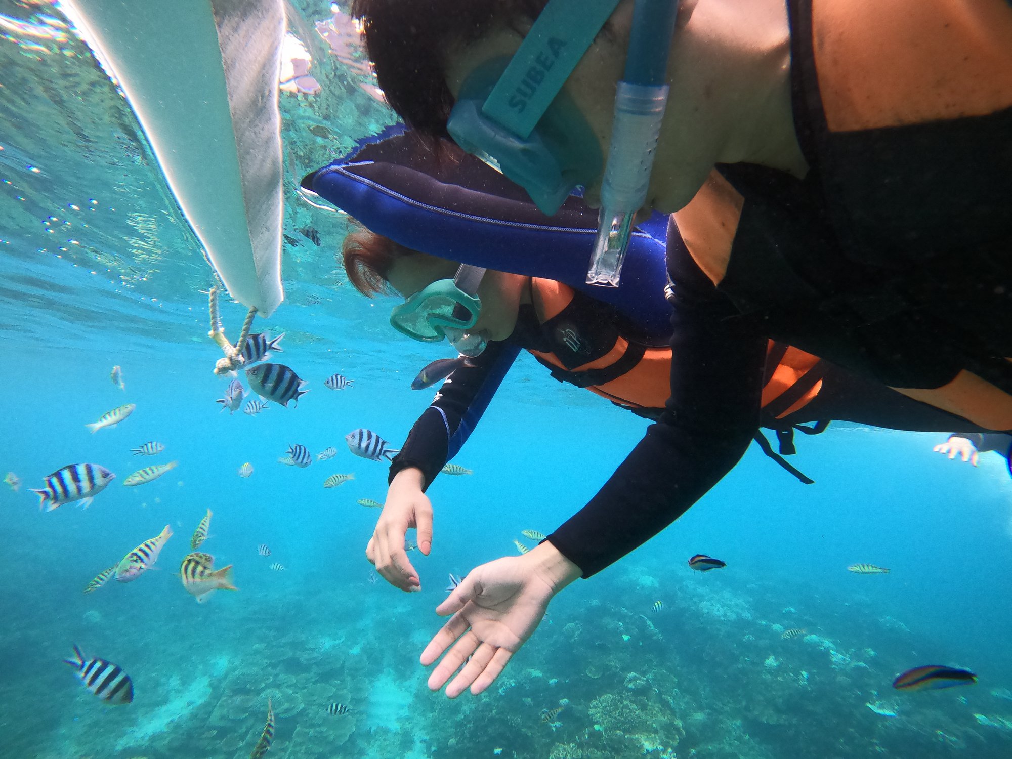 澎湖旅遊-專業浮潛